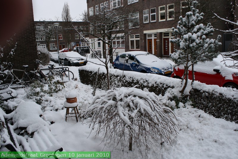 januari2010adelheidstraatsneeuwhutborrel200901.jpg