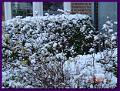 DSC00759
