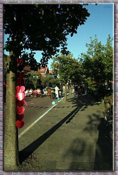 IMG_3242.jpg