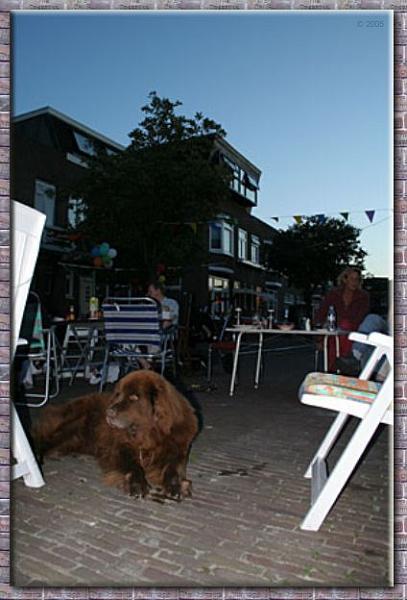 IMG_3268.jpg